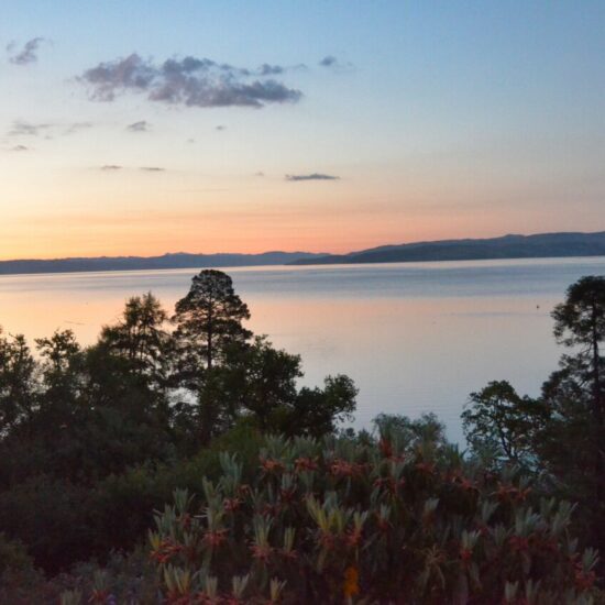 Abendstimmung mit Blick über den Park von Stonefield Castle auf Loch Fyne.